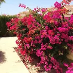 Casa Sara - Private With Private Pool ヴィラ シウダー・ケサダ